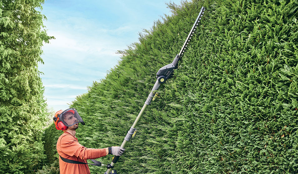 taille de haies grande hauteur, espaces verts Audruicq