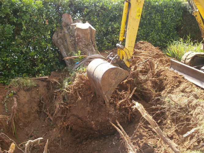 dessouchage, paysagiste Calais