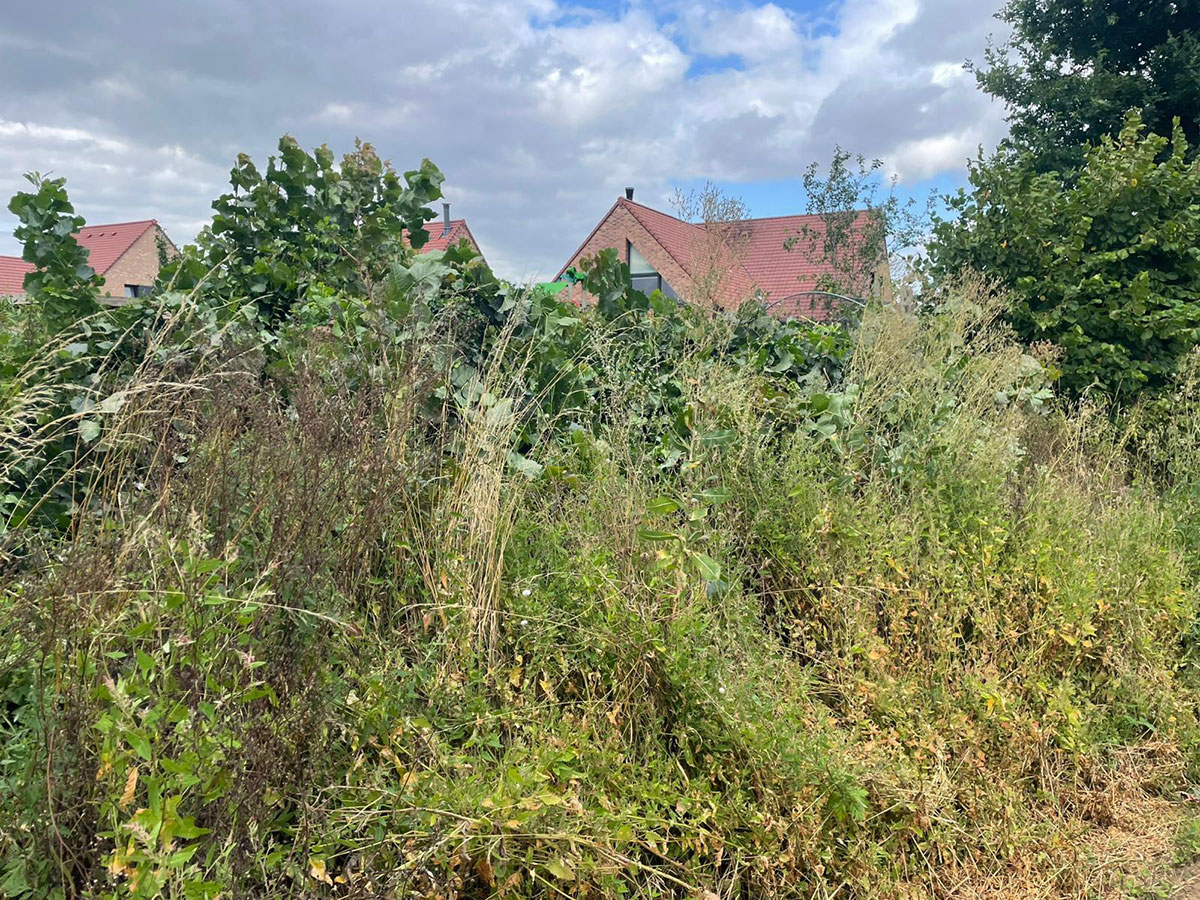 débroussaillage entreprise espaces verts Guines