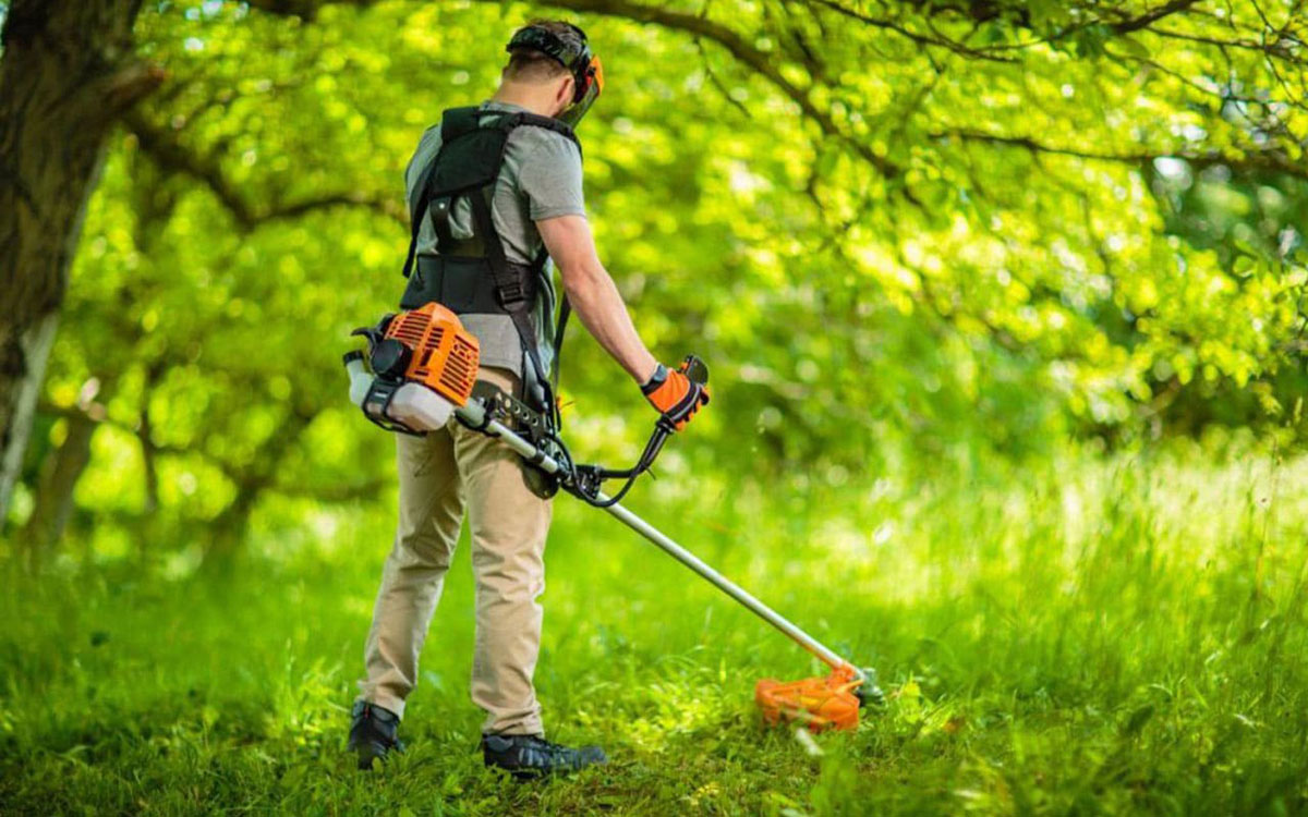 débroussaillage paysagiste Saint Omer