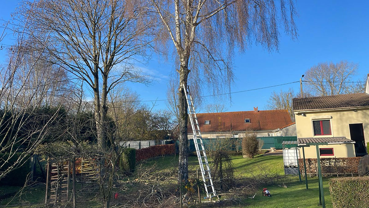 elagage, espaces verts Moulle