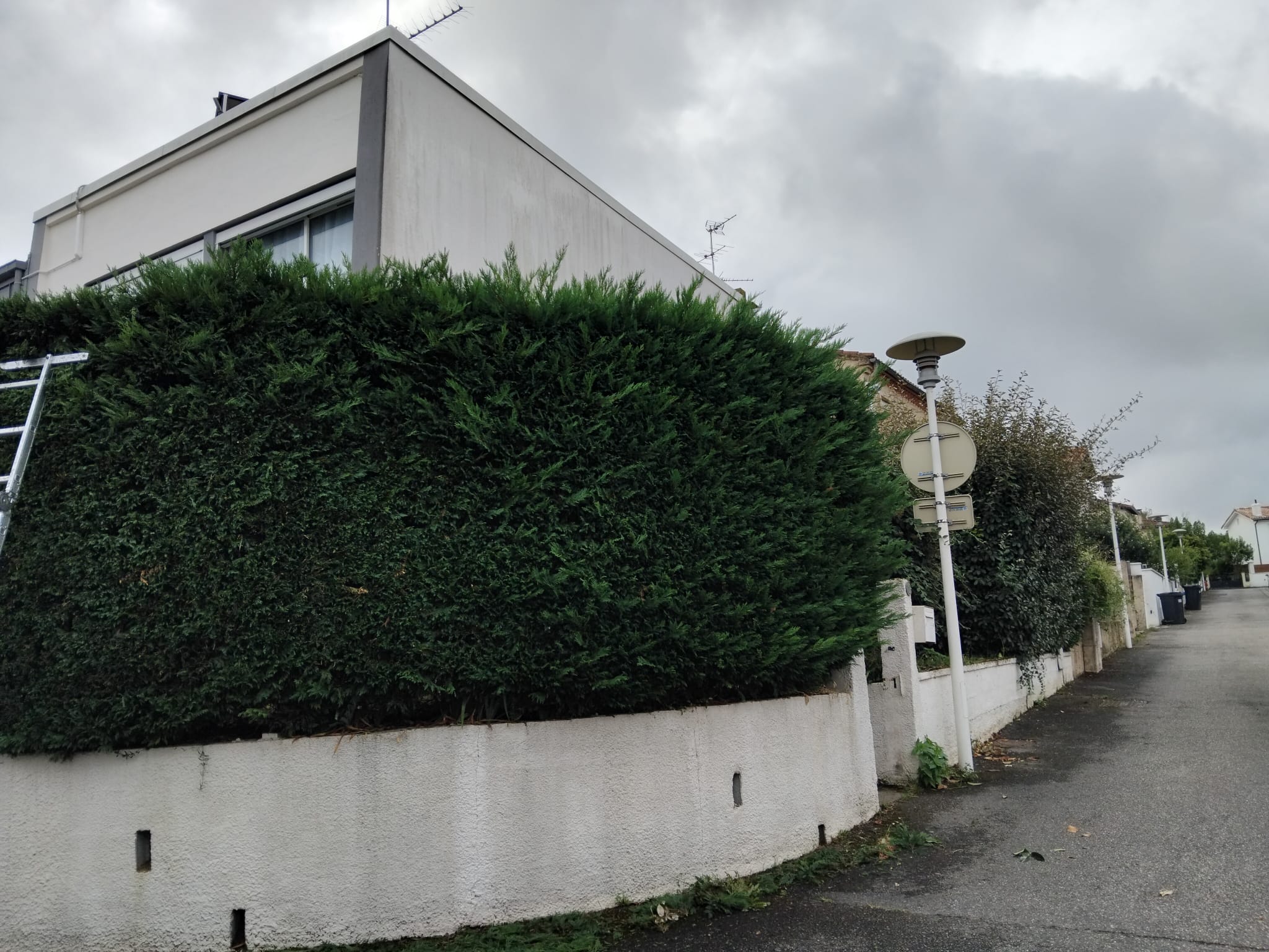 taille haies, paysagiste Toulouse