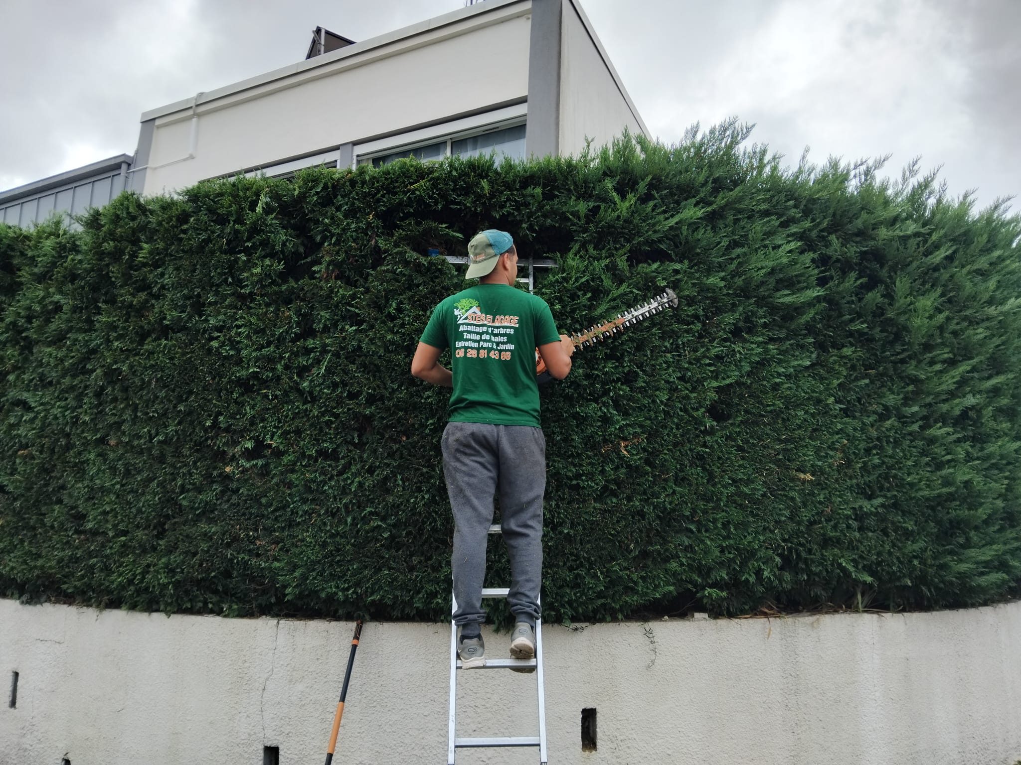 taille haies, paysagiste Toulouse